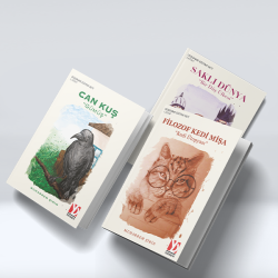 Düşünme Eğitim Seti - 1-2-3