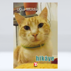 Hikâye (e-kitap) Hikâye (e-kitap)