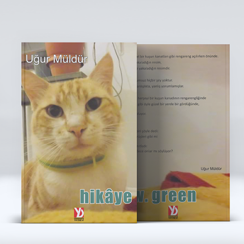 Hikâye Hikâye