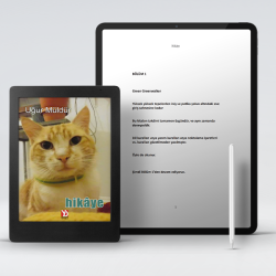 Hikâye (e-kitap) Hikâye (e-kitap)