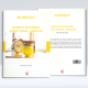 Workout - Sports Sciences Vocational English Workout - Sports Sciences Vocational English